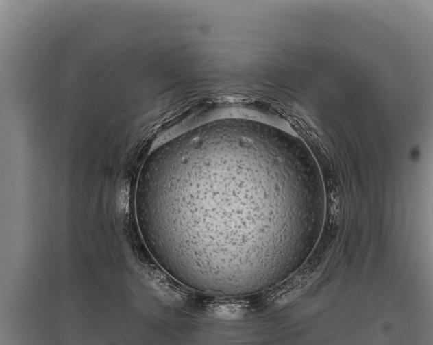 X0000095950368200801181427