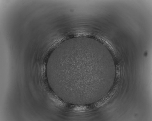 X0000095950369200801181427