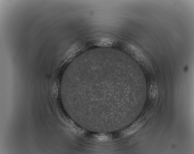 X0000095950370200801181427