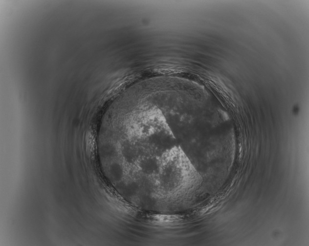 X0000095950371200801181427