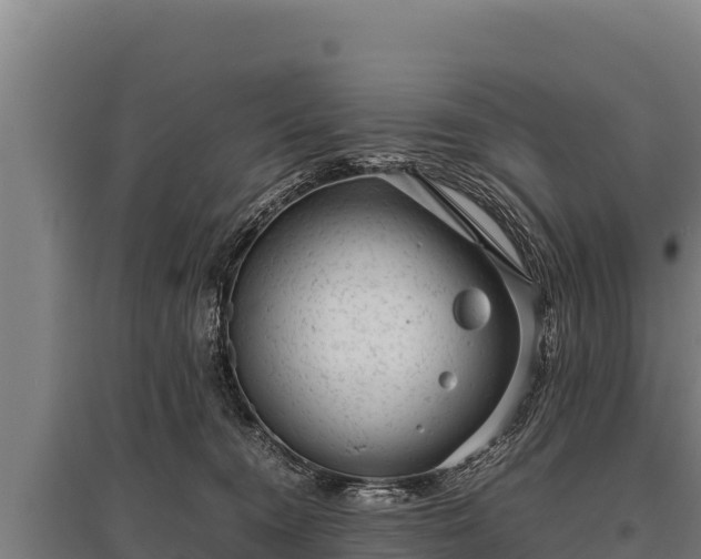 X0000095950372200801181427