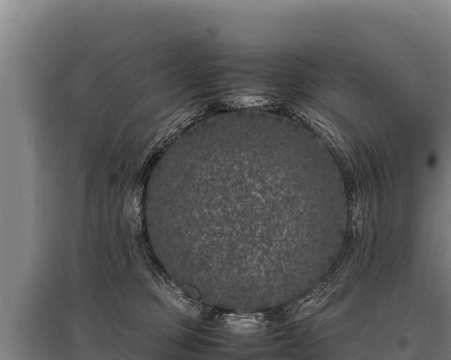 X0000095950373200801181427