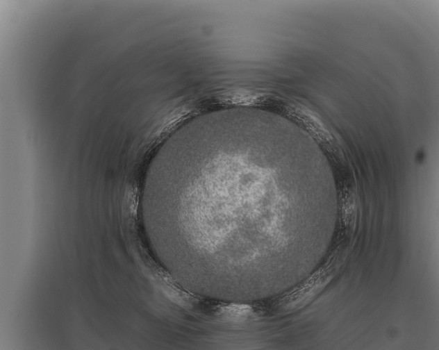 X0000095950374200801181427