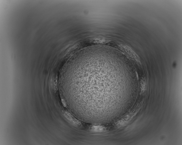 X0000095950376200801181427