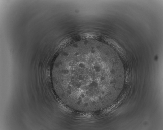 X0000095950377200801181428