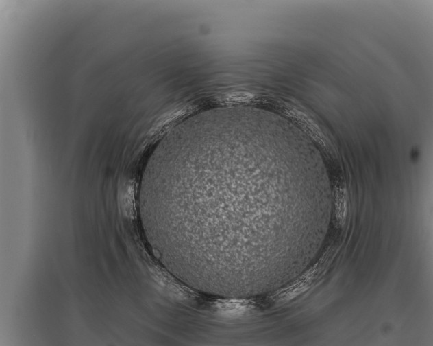 X0000095950378200801181428