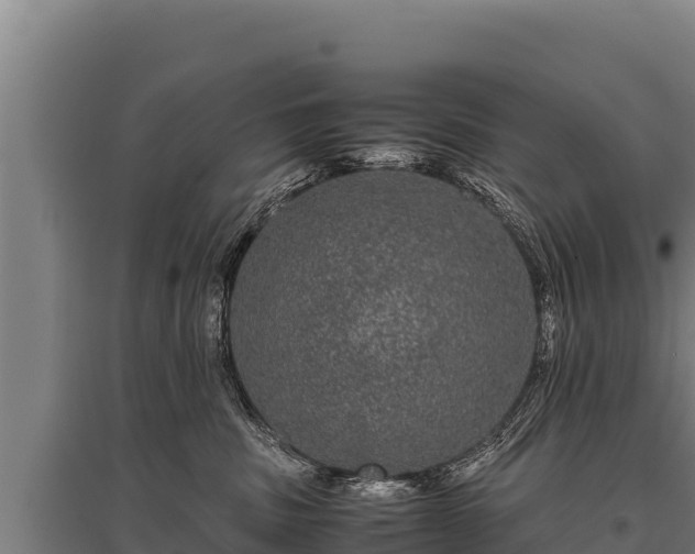 X0000095950379200801181428