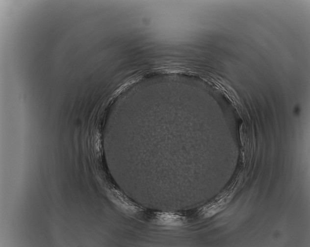 X0000095950380200801181428