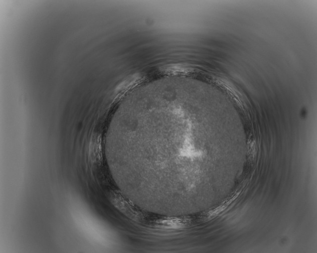 X0000095950381200801181428