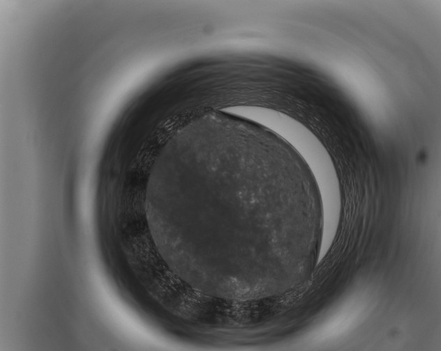 X0000095950383200801181428