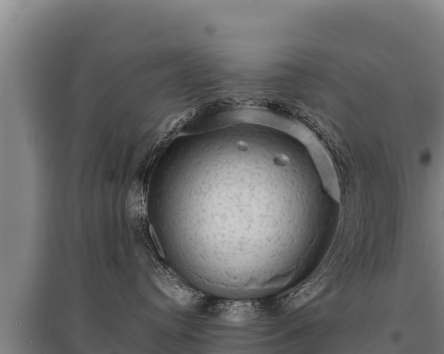 X0000095950384200801181428