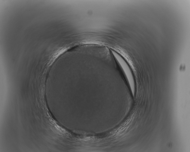 X0000095950385200801181427