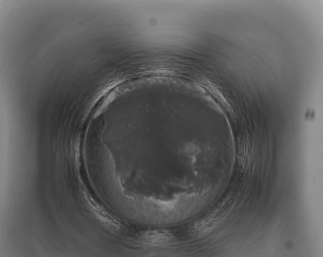 X0000095950386200801181427