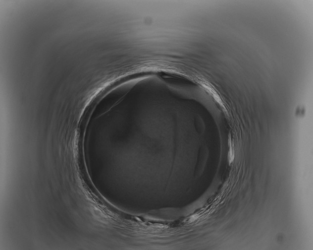 X0000095950387200801181427