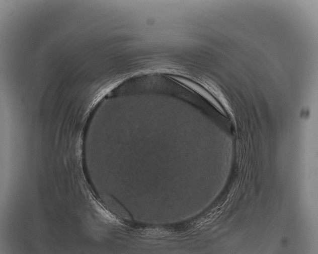 X0000095950389200801181427