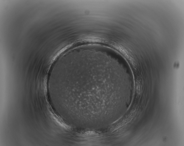 X0000095950390200801181427