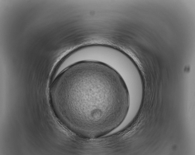 X0000095950391200801181427