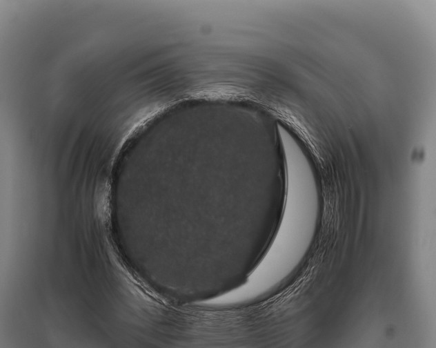 X0000095950392200801181427