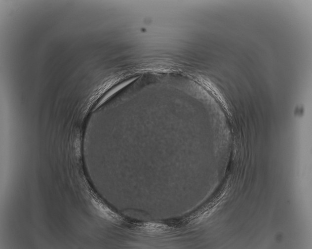 X0000095950393200801181427