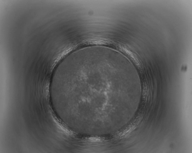 X0000095950394200801181427