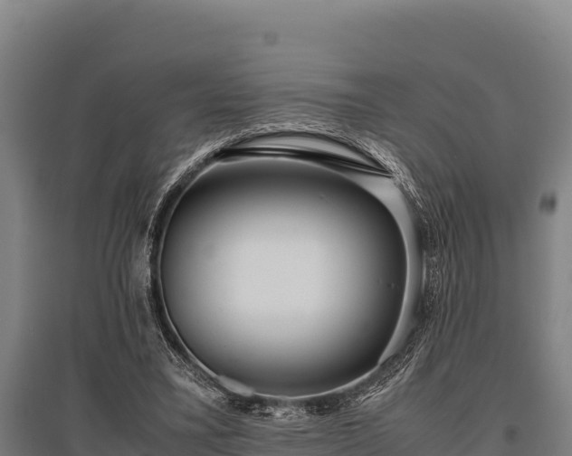 X0000095950395200801181427