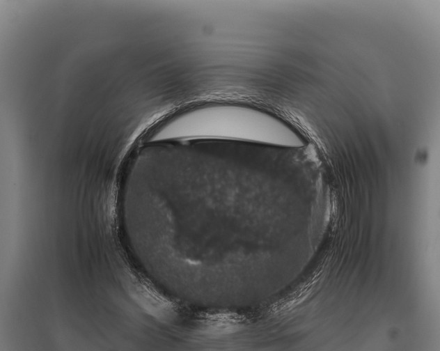 X0000095950396200801181427