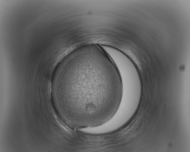 X0000095950397200801181427