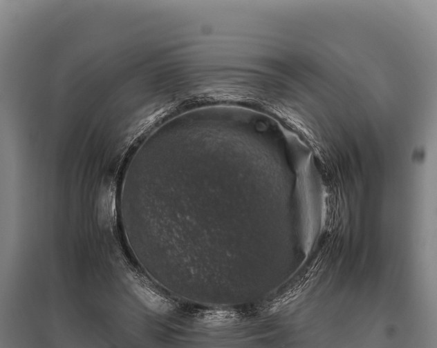 X0000095950398200801181427