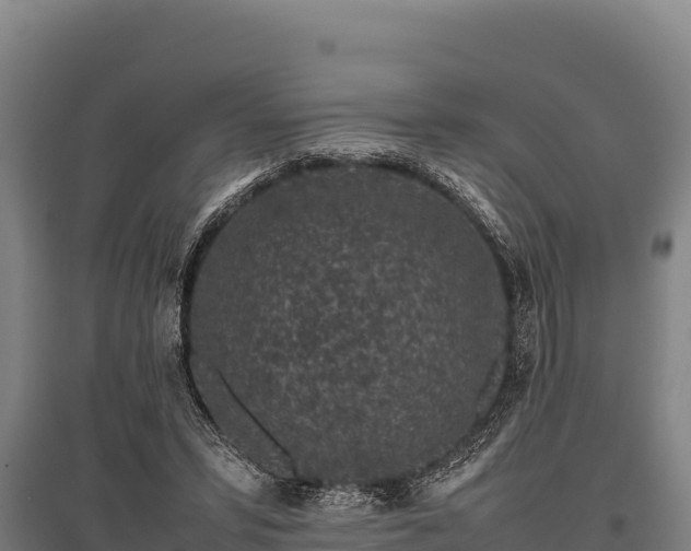 X0000095950399200801181427