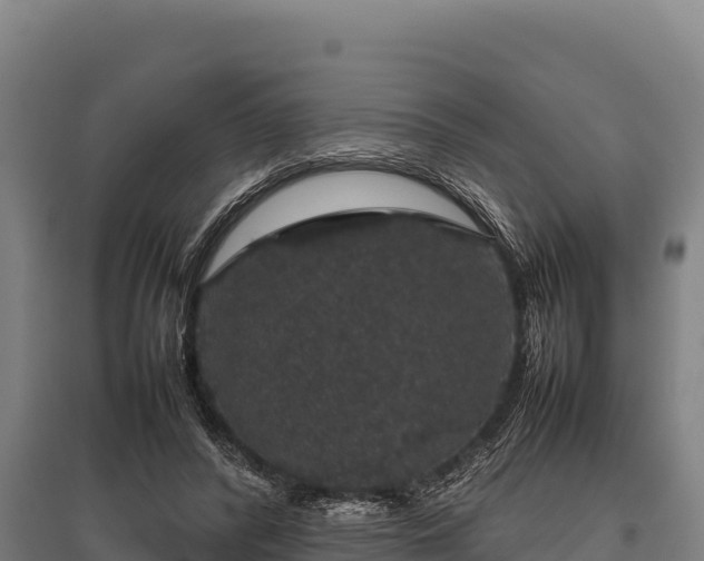 X0000095950400200801181427