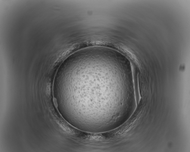 X0000095950401200801181427