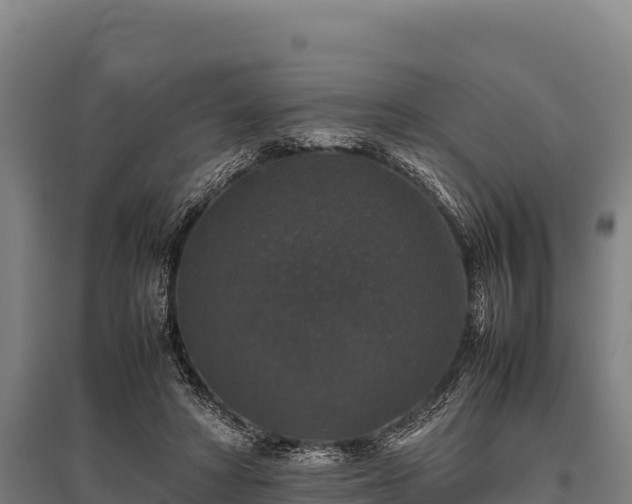 X0000095950402200801181427