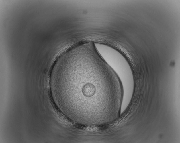 X0000095950403200801181427