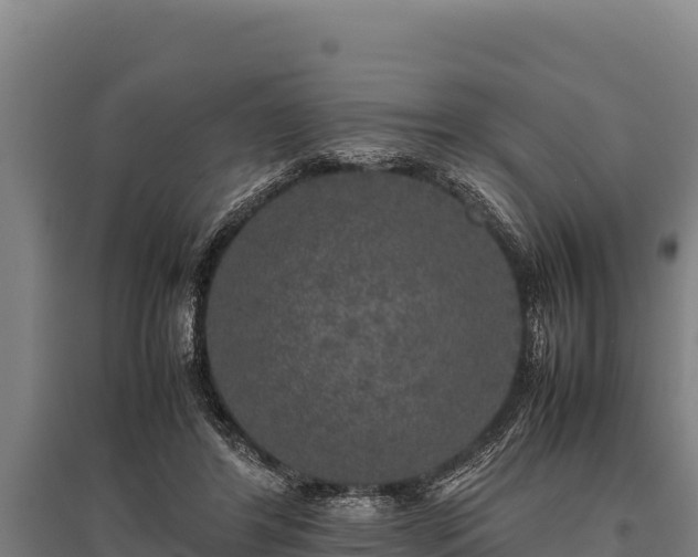 X0000095950404200801181427