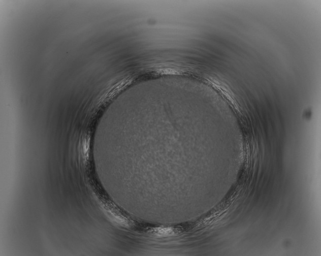 X0000095950406200801181427