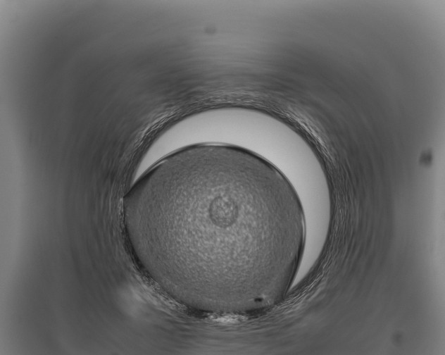 X0000095950407200801181427