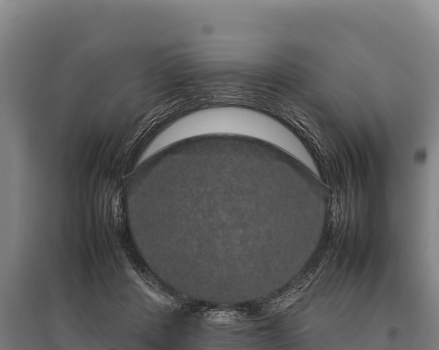 X0000095950408200801181427