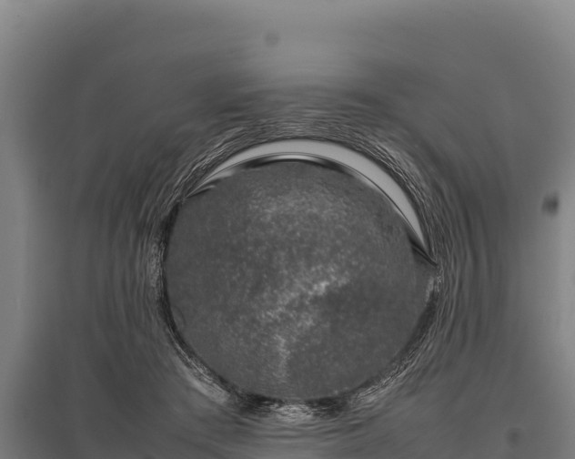 X0000095950409200801181427