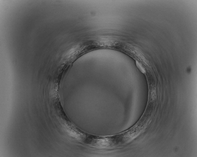 X0000095950411200801181427