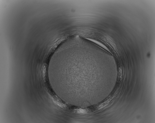 X0000095950412200801181427