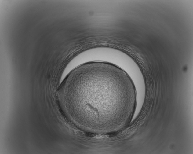 X0000095950415200801181427