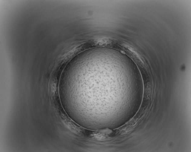 X0000095950417200801181427