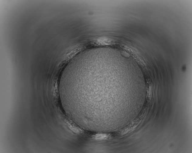 X0000095950418200801181426