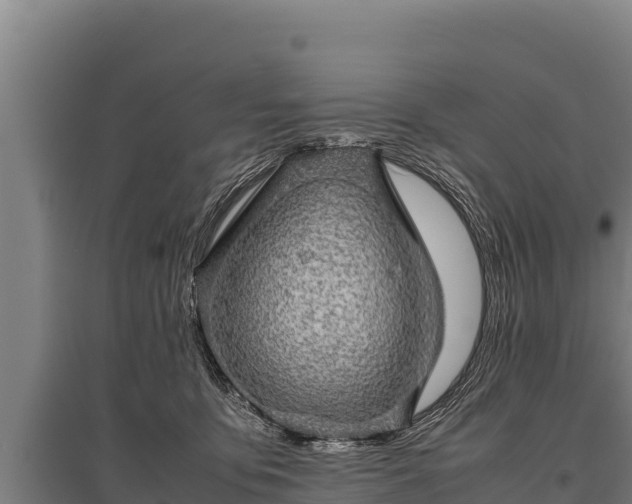 X0000095950419200801181426