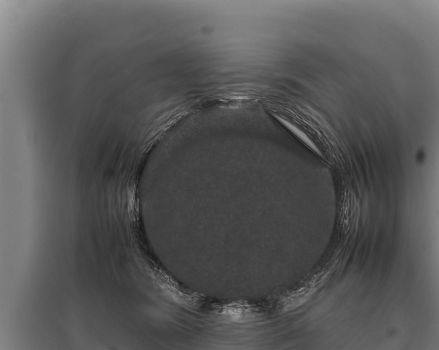 X0000095950420200801181426