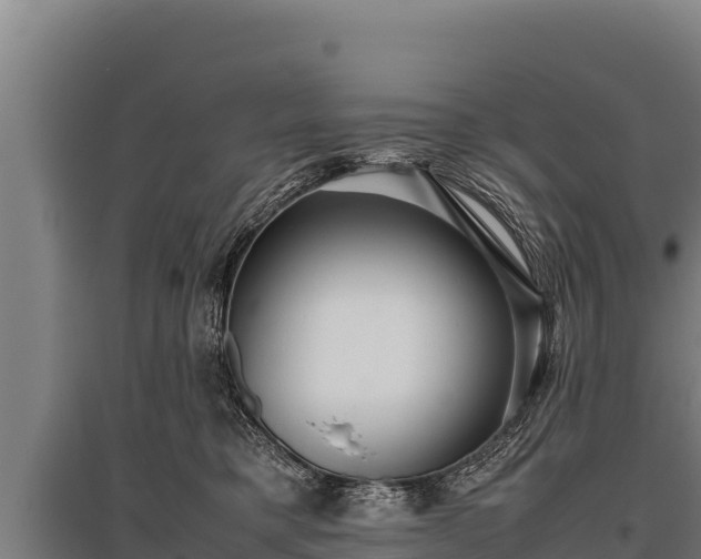 X0000095950421200801181426