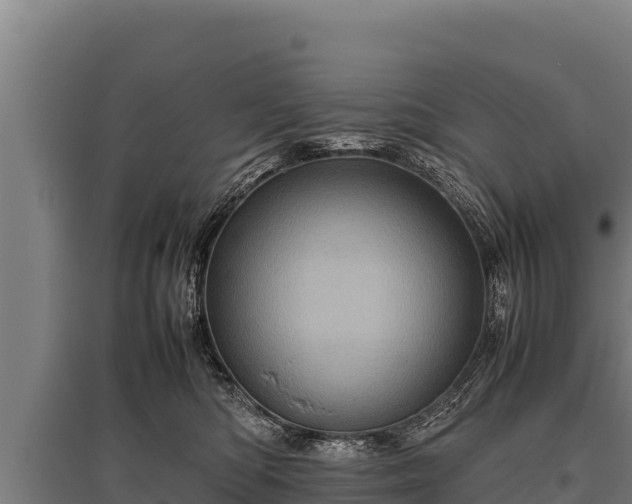 X0000095950422200801181426