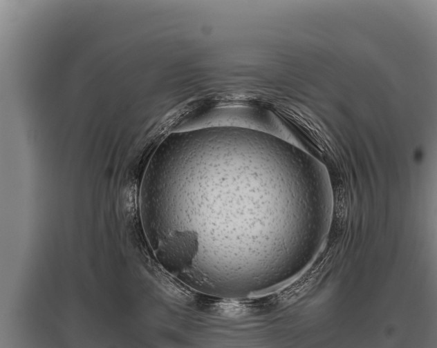 X0000095950425200801181426