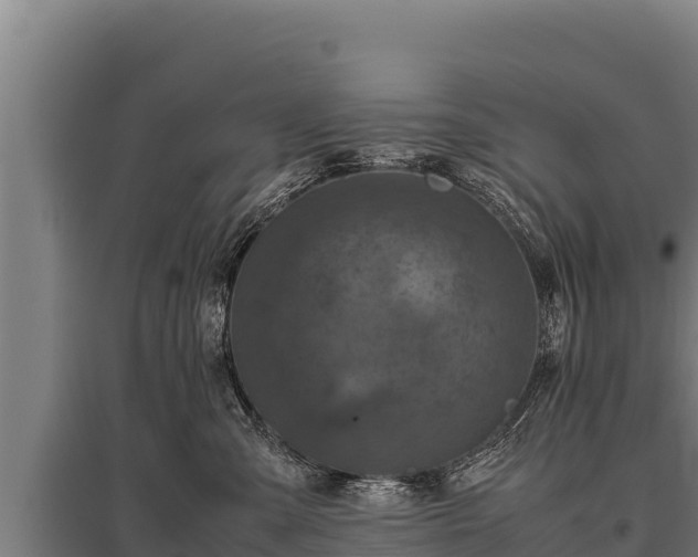 X0000095950427200801181426