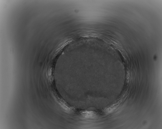 X0000095950428200801181426